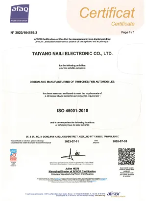 ISO 45001: 2018